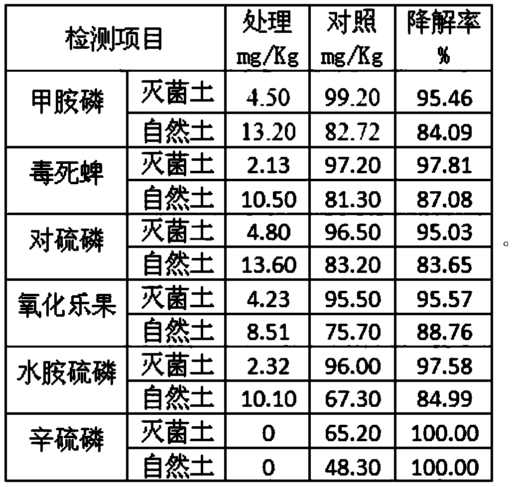 Trichoderma fungus and its agent for degrading organophosphorus pesticides