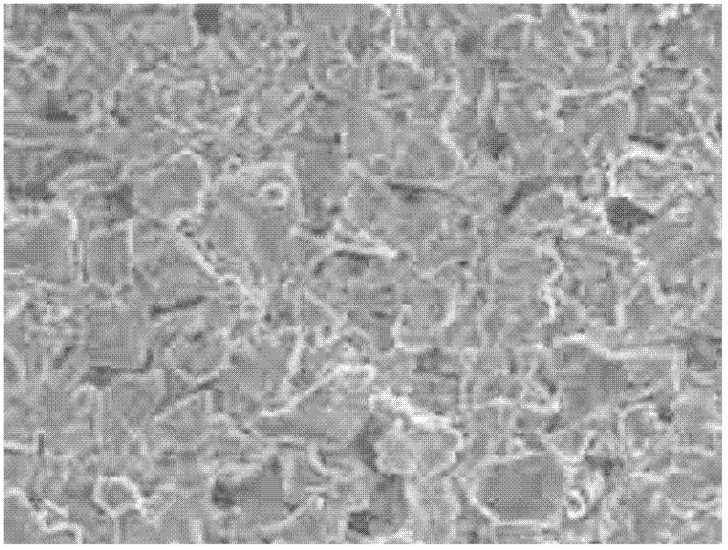 Electrode of supercapacitor, preparation method of electrode and preparation method of slurry of electrode