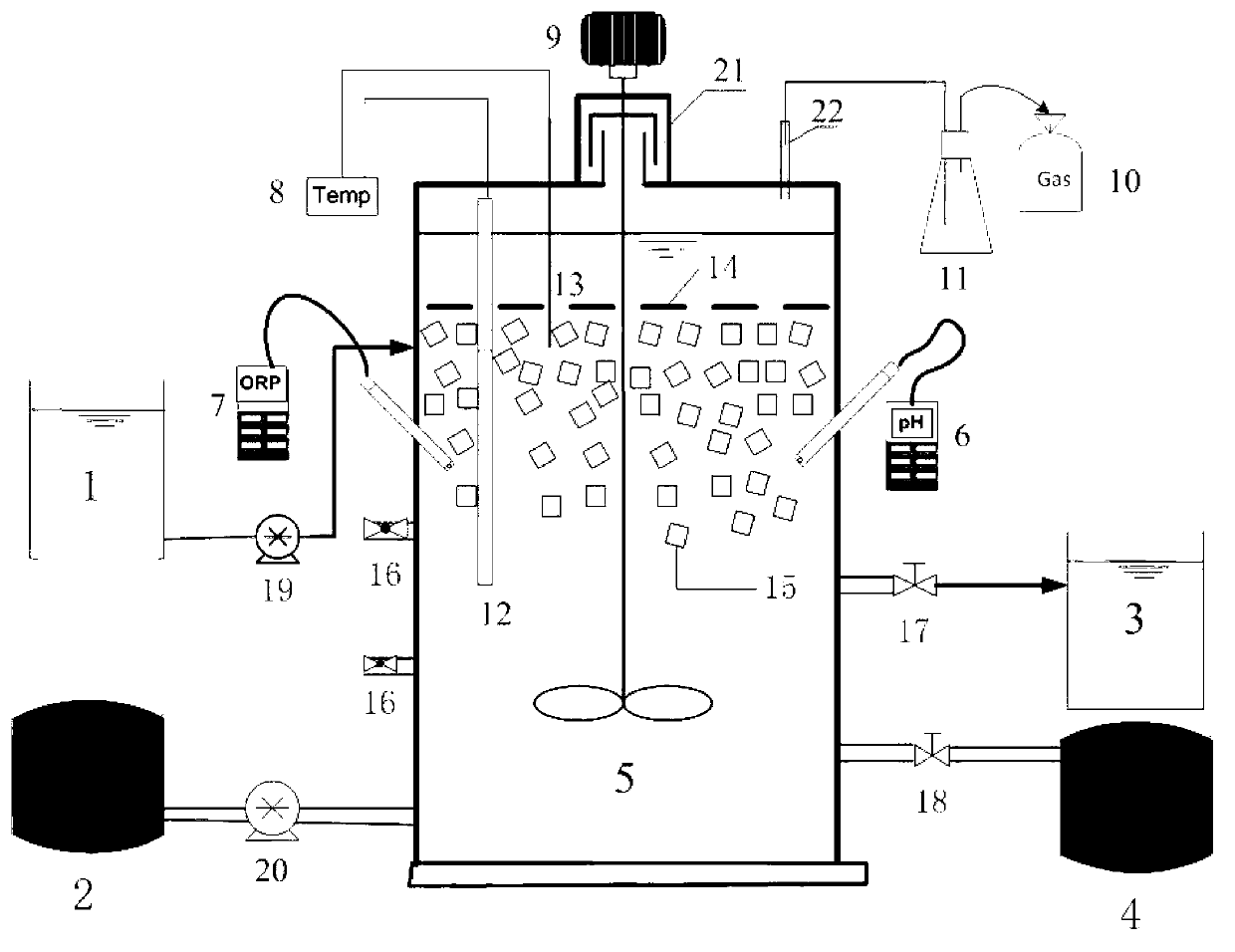 Method for processing urban sewage nitrifying liquid by sludge fermentation and denitrification coupled with anaerobic ammonia oxidation