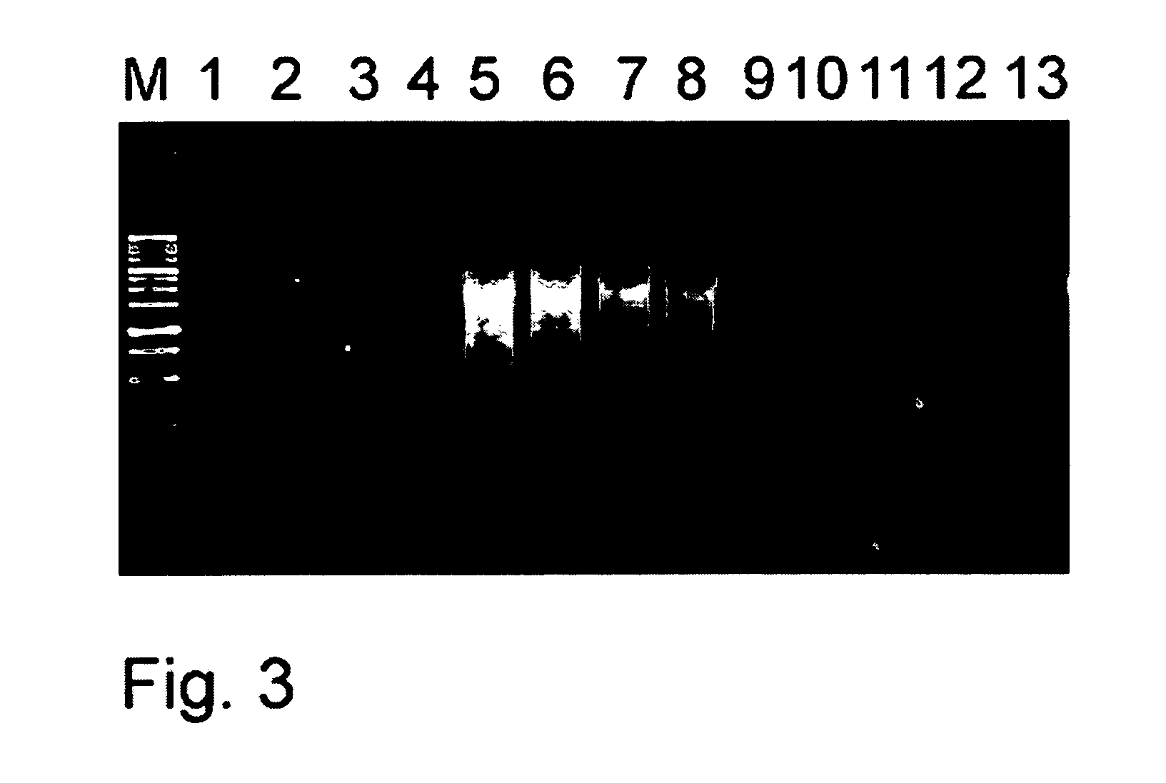 Methods of cDNA preparation