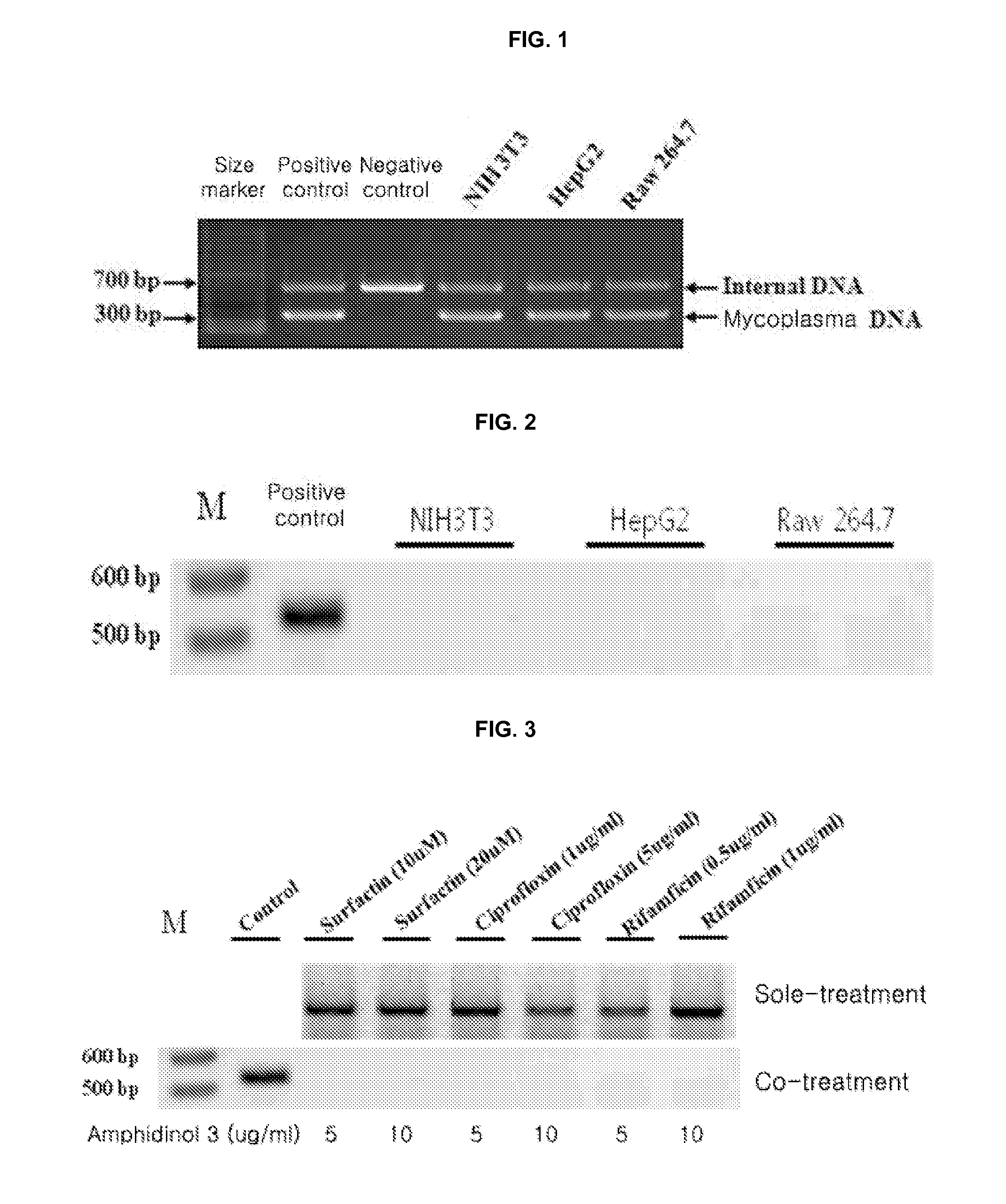 Method for culturing mycoplasma contamination-free cells and method for removing mycoplasma contamination of cells