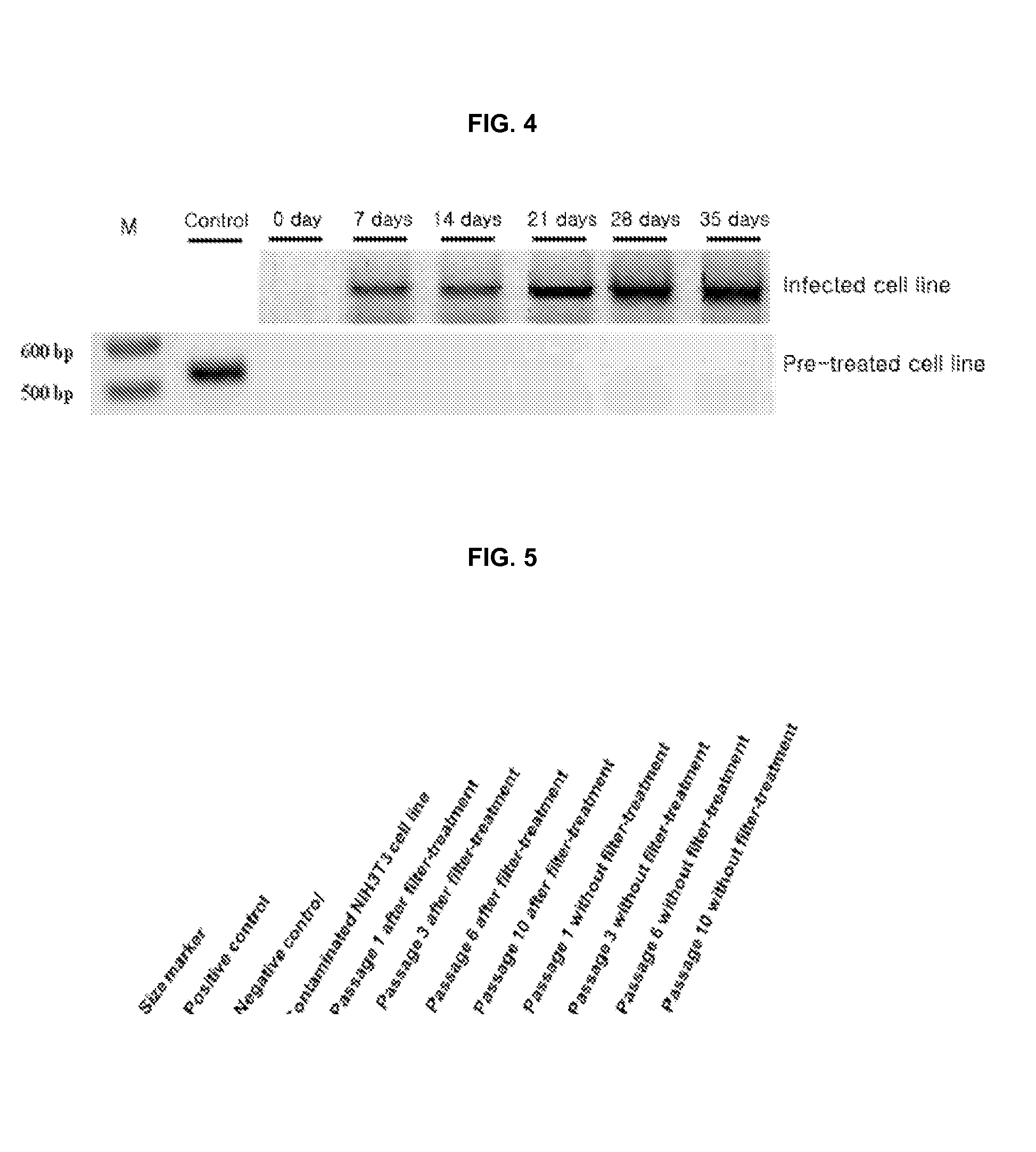 Method for culturing mycoplasma contamination-free cells and method for removing mycoplasma contamination of cells