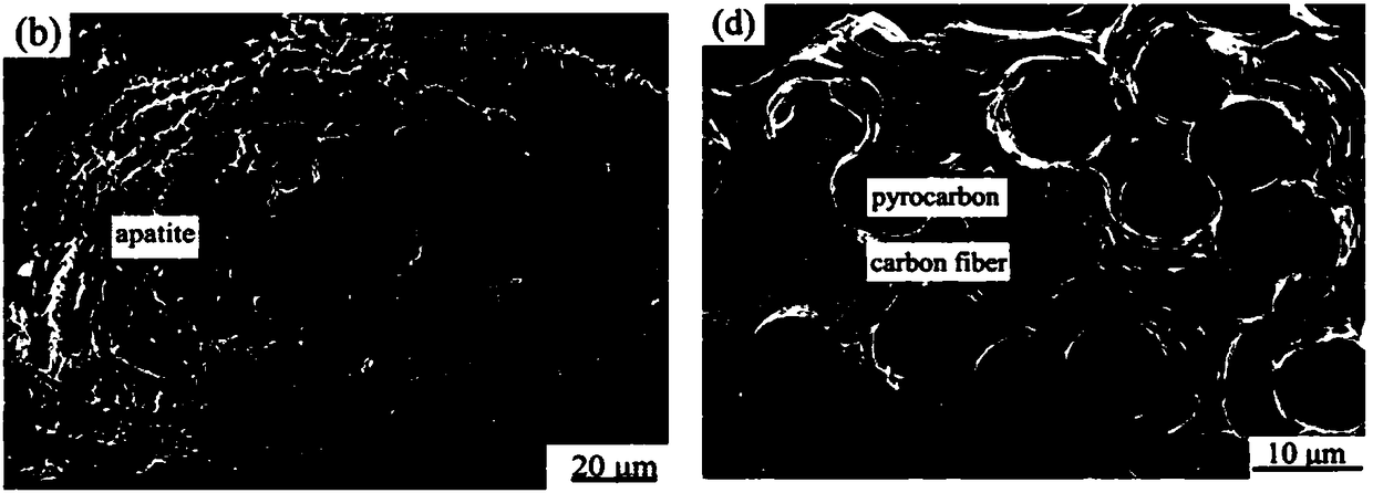 Bone fracture plate made of carbon-carbon composite material and preparation method of bone fracture plate