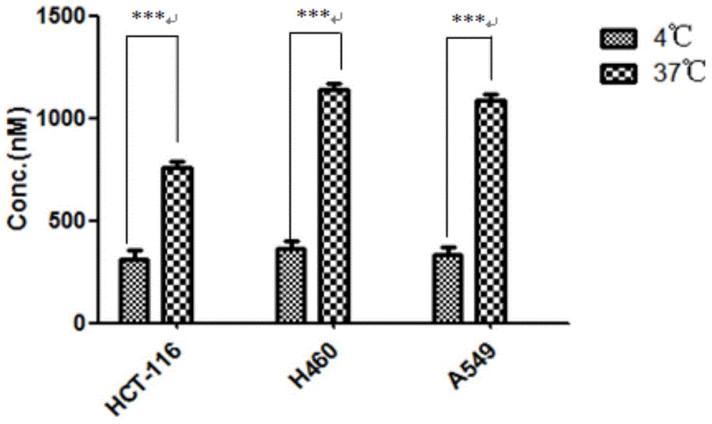 Prodrug based on gemcitabine structure and application thereof