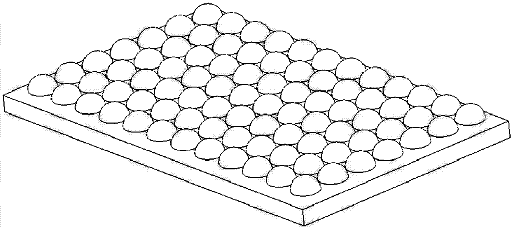 Polymer film, and preparation method and application thereof