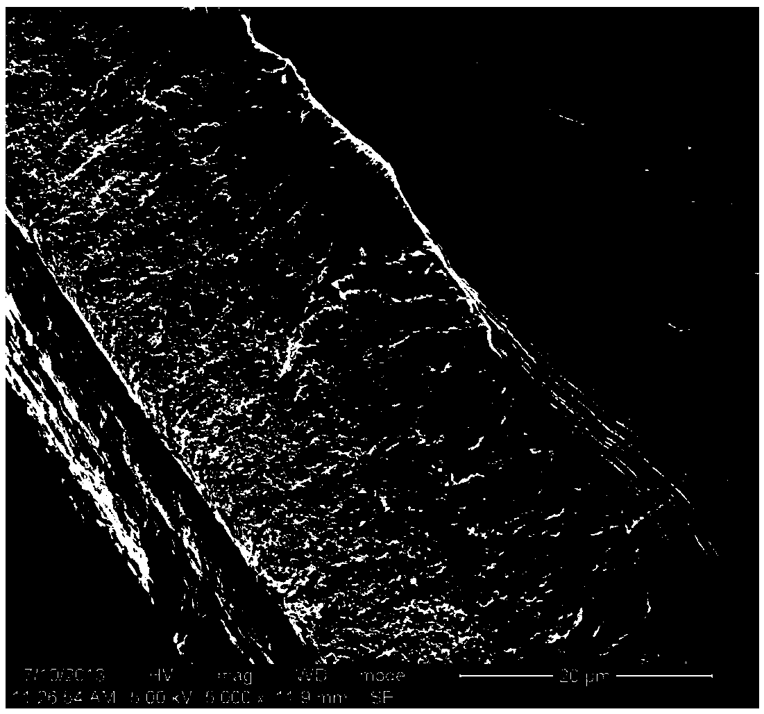 Preparation method of high barrier graphene oxide-polyethylene nanocomposite film