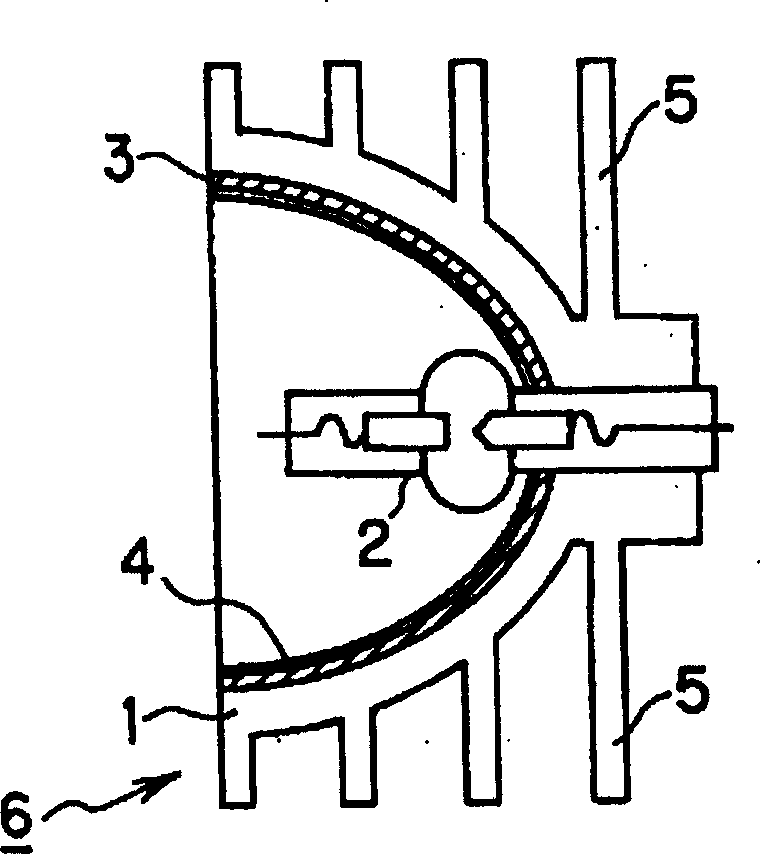 Light source apparatus and fabrication method thereof