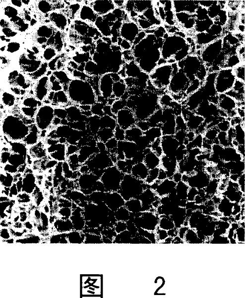 Three-dimensional isinglass multi-hole bracket and the preparing method