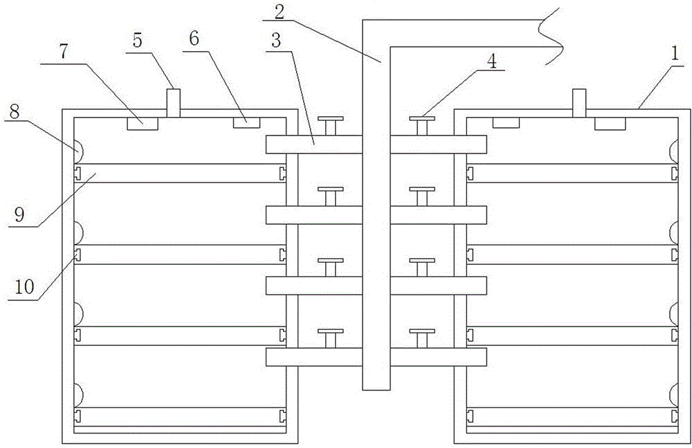 Spirulina seed/seedling multistage cultivation device