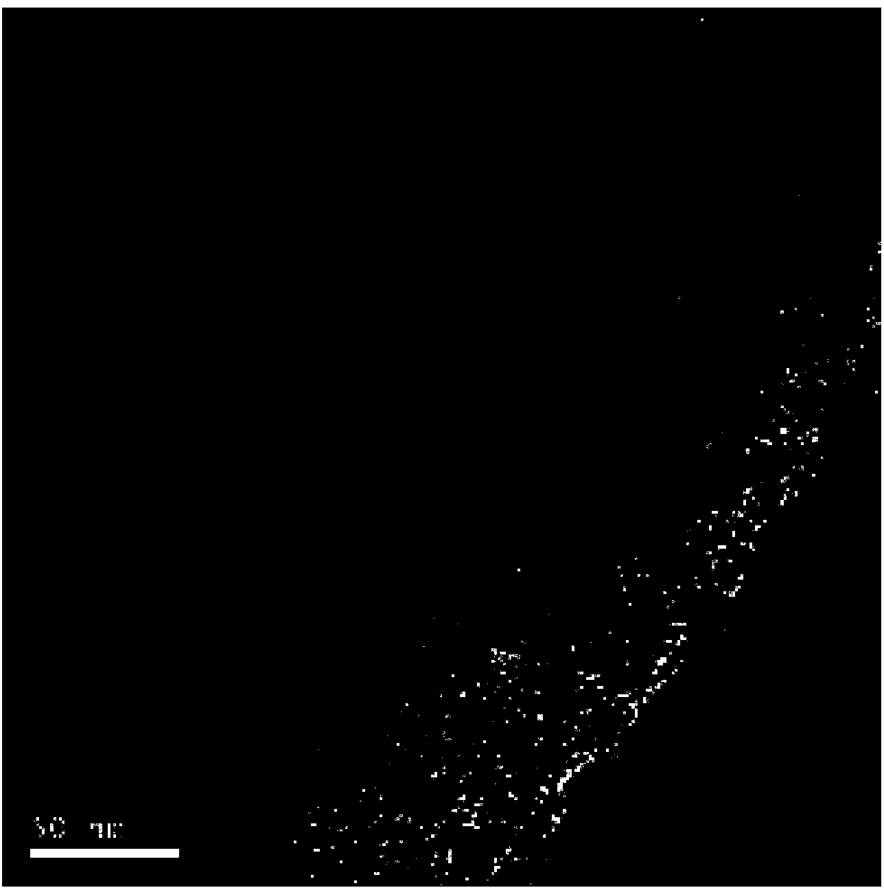 Method for synthesising halogenated aromatic amine through hydrogenation in solvent-free condition