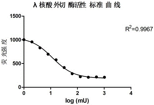 A kind of lambda exonuclease activity assay method