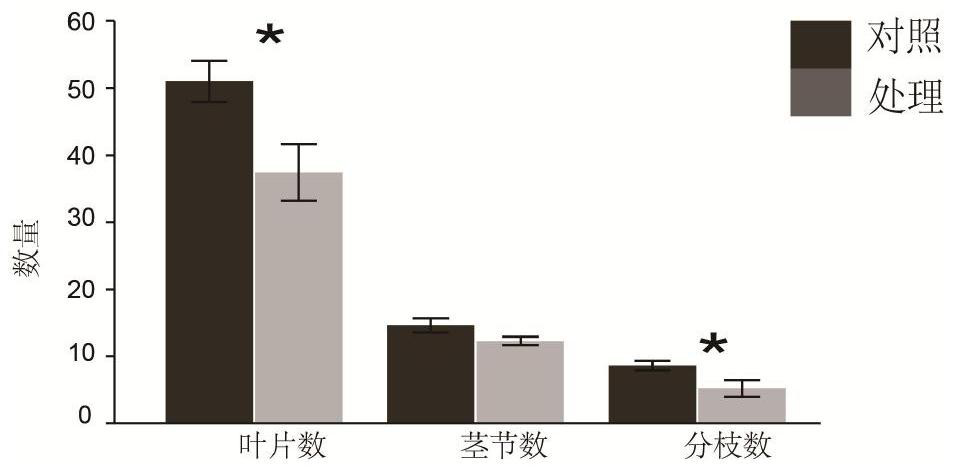 Biological method for inhibiting rapid growth of mikania micrantha