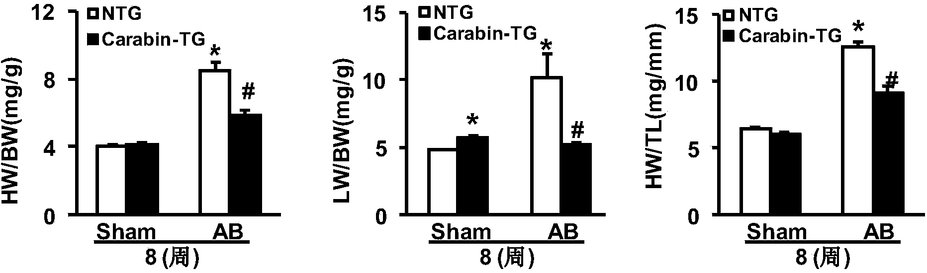 Function and application of Carabin for treating cardiac hypertrophy