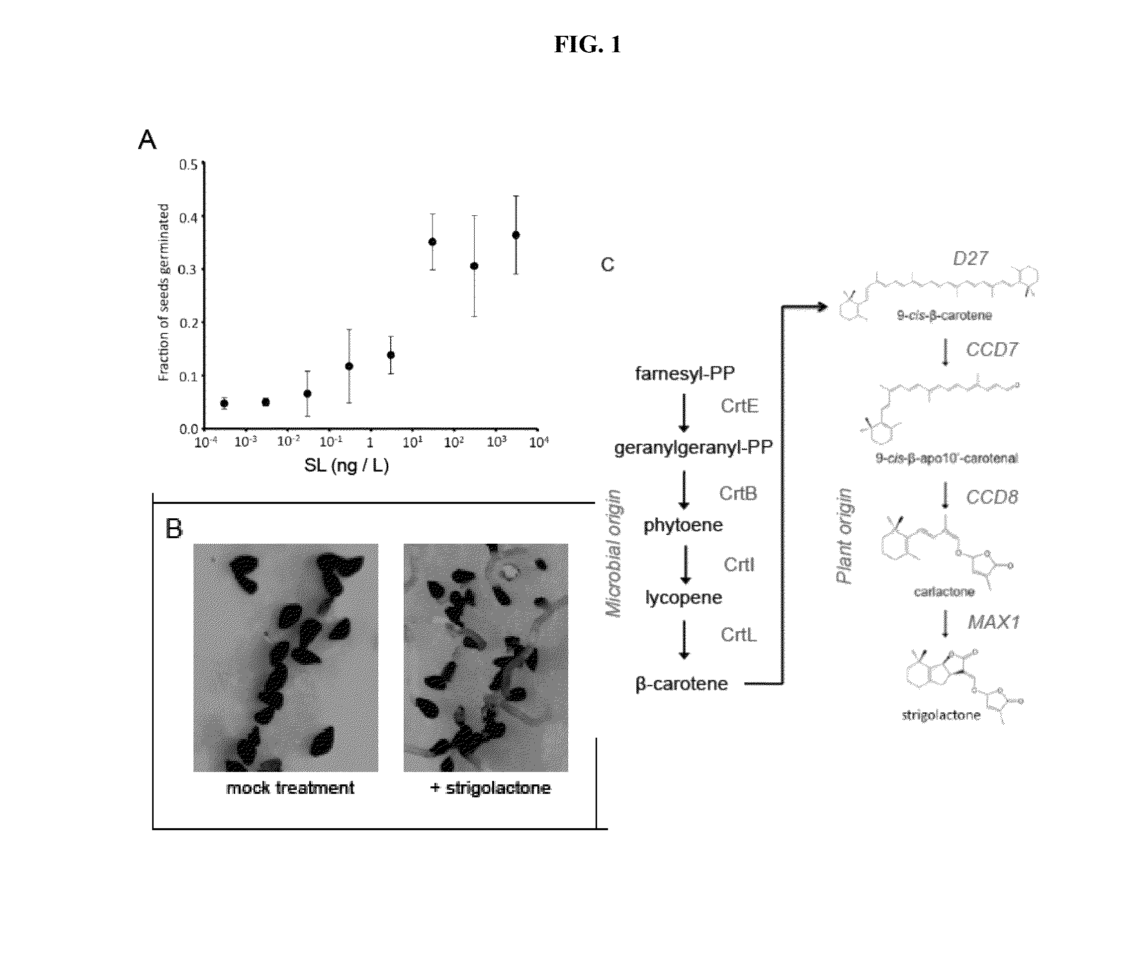 Strigolactone Compositions And Uses Thereof