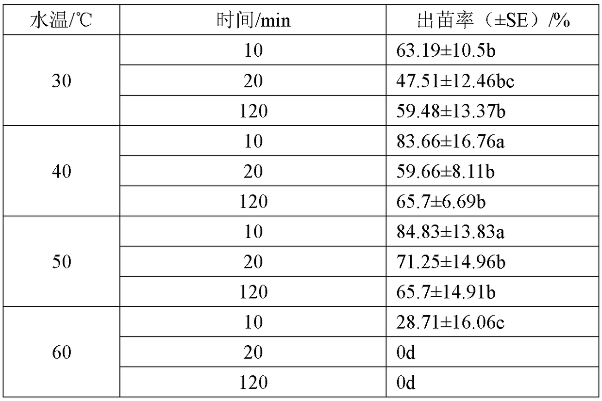 Efficient breeding method of Stachys baicalensis seeds