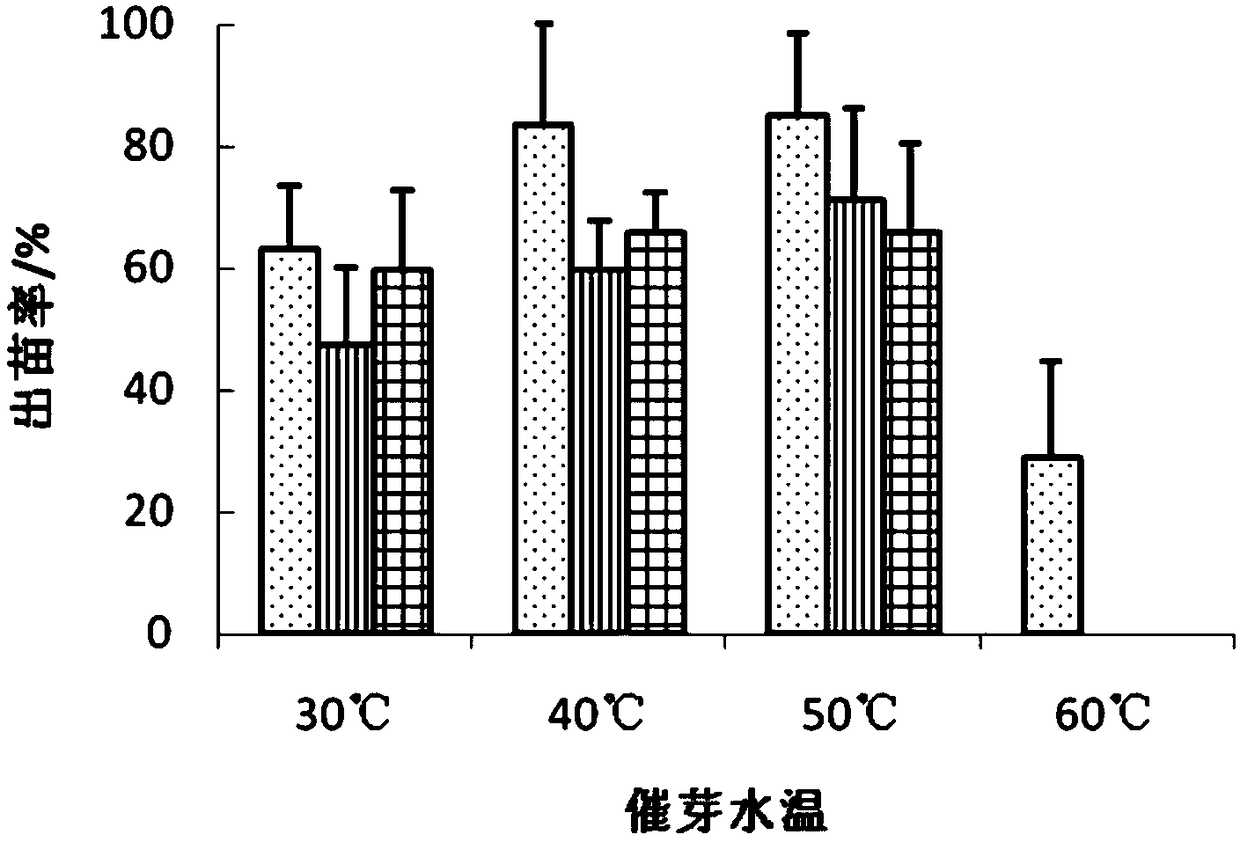 Efficient breeding method of Stachys baicalensis seeds