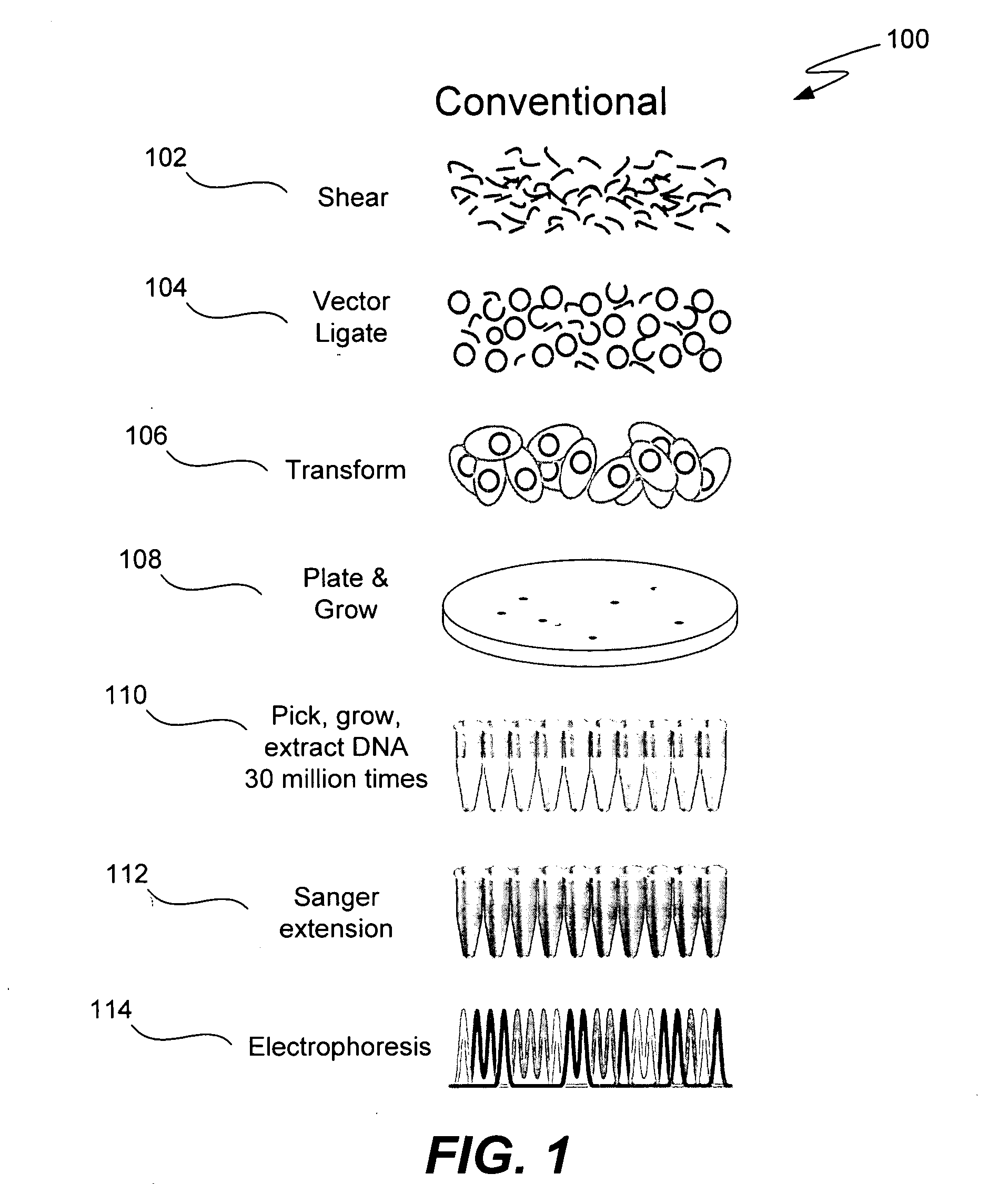 Microfabricated integrated DNA analysis system
