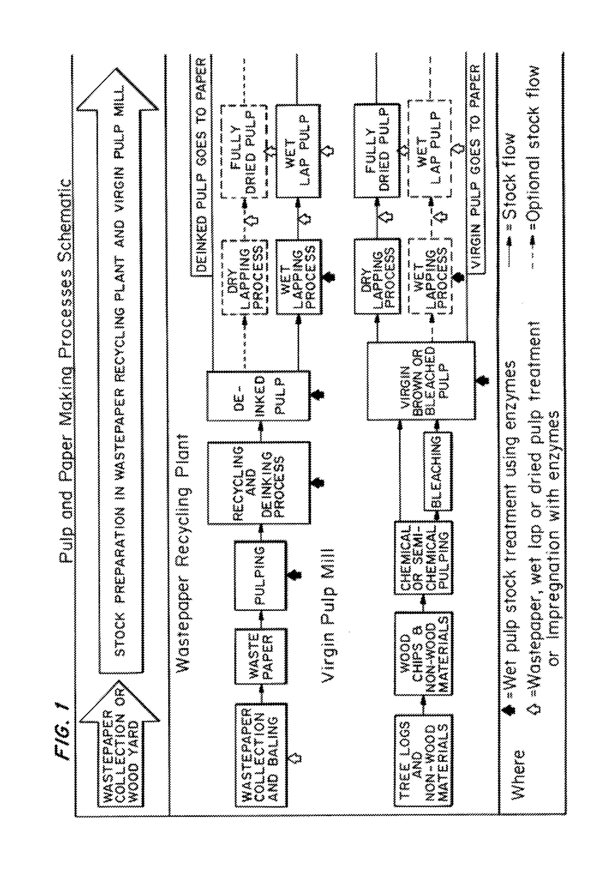 Enzymatic pre-treatment of market pulp to improve fiber drainage and physical properties