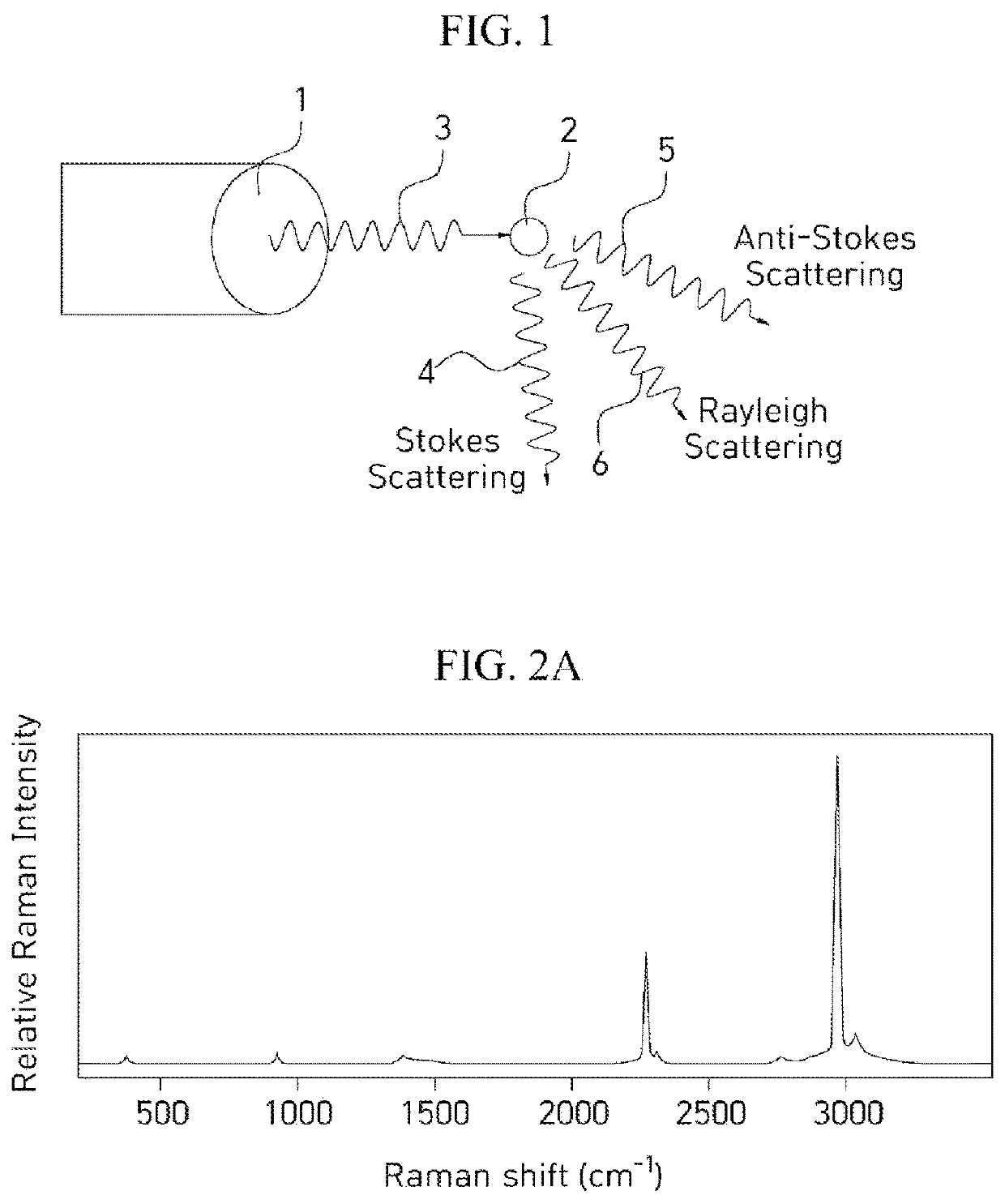 Apparatus for measuring raman scattering, and apparatus and method for determining true fire using the apparatus