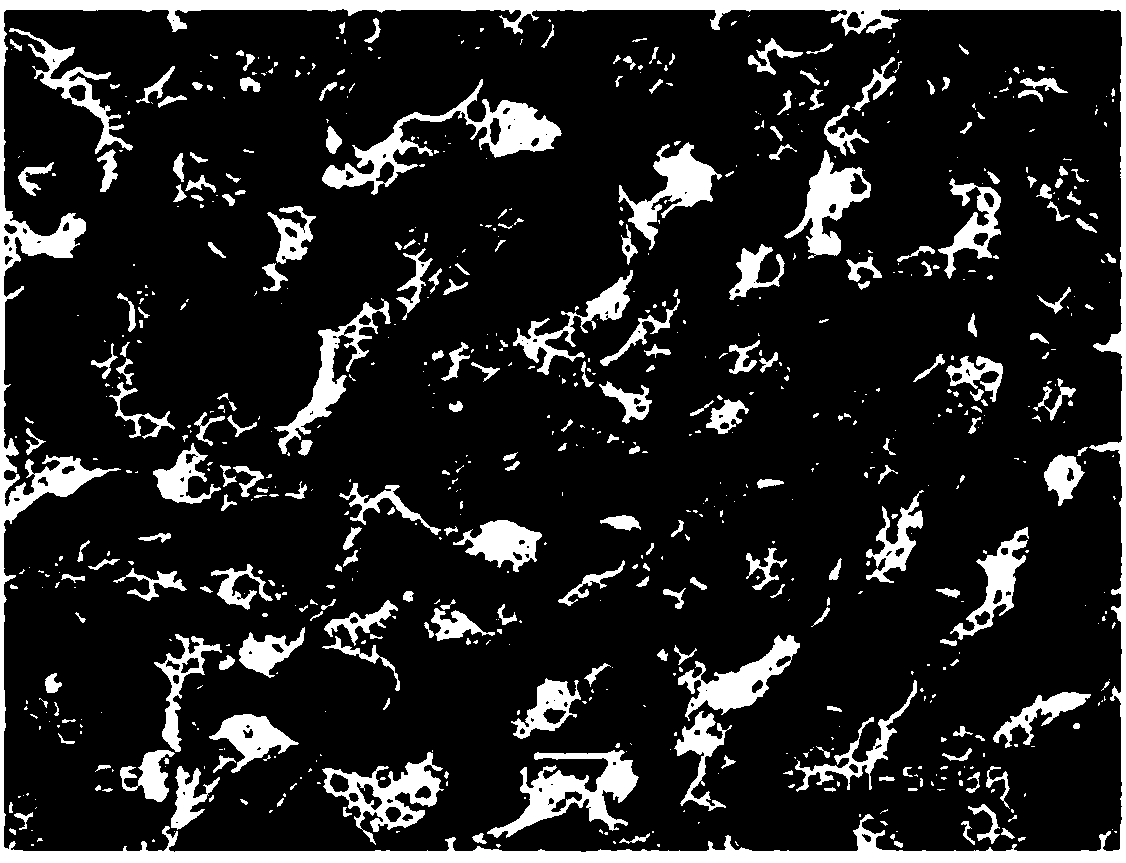 A kind of preparation method of grid-like microporous membrane formed by polymer cross-linking