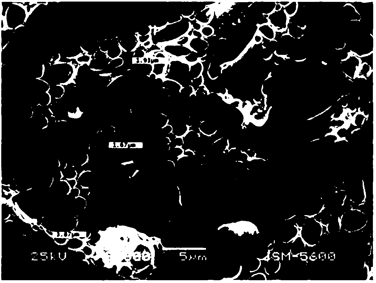 A kind of preparation method of grid-like microporous membrane formed by polymer cross-linking