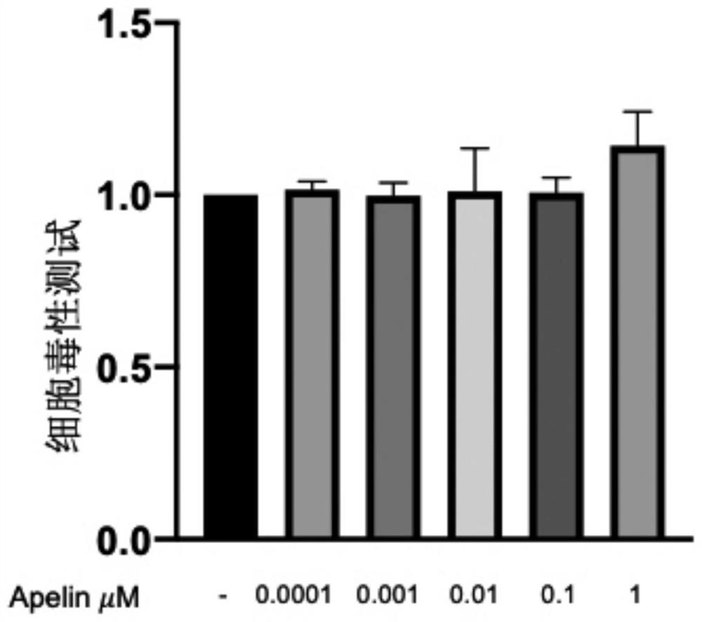 Application of Apelin in preparation of medicine for treating silicosis