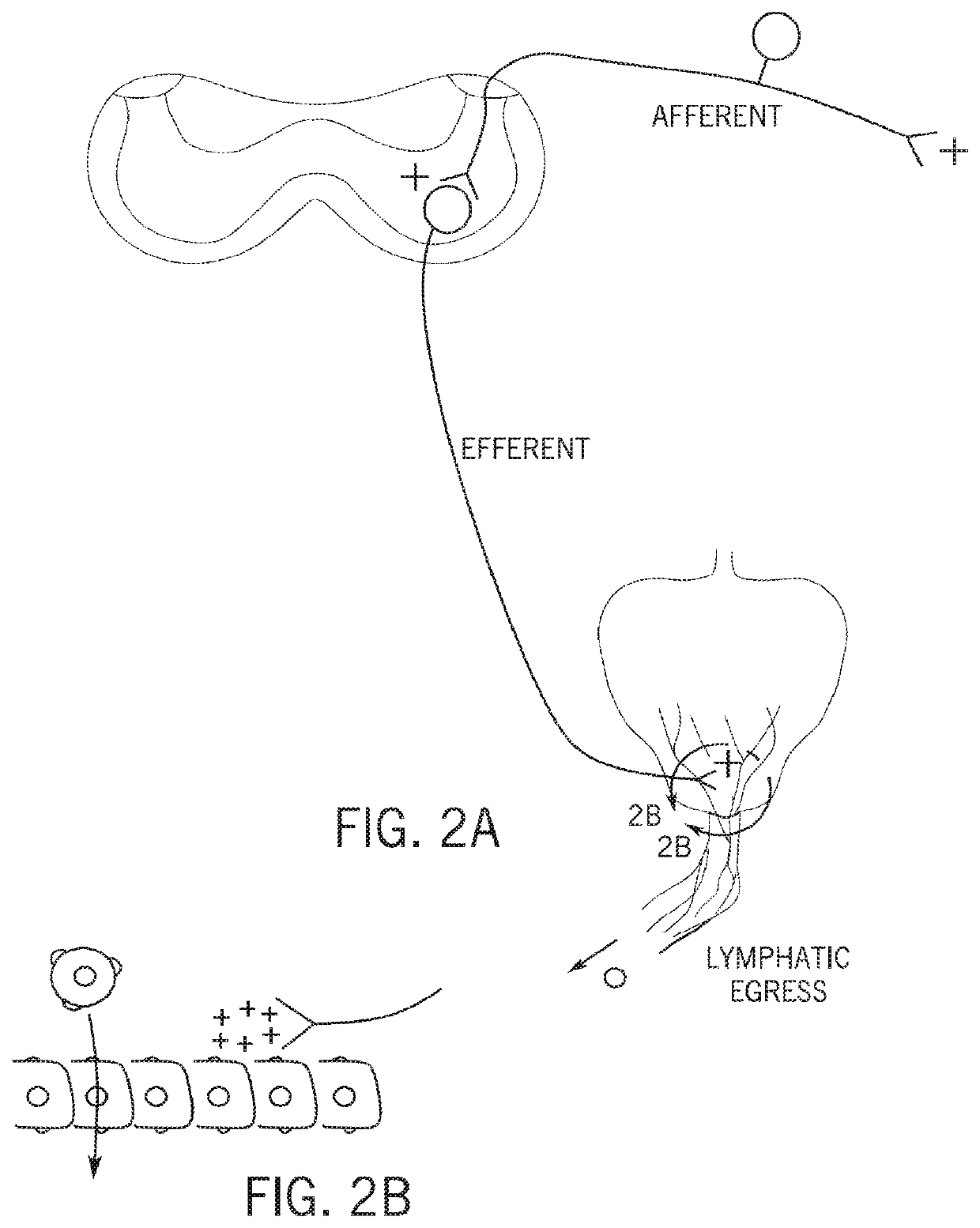 Techniques for neuromodulation