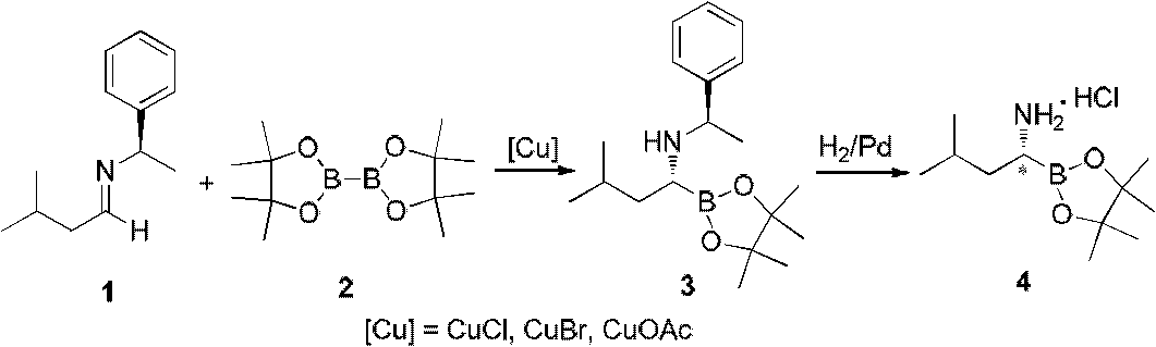 Chiral alpha-amino boric acid esters, a preparation method and an application in the synthesis of bortezomib thereof