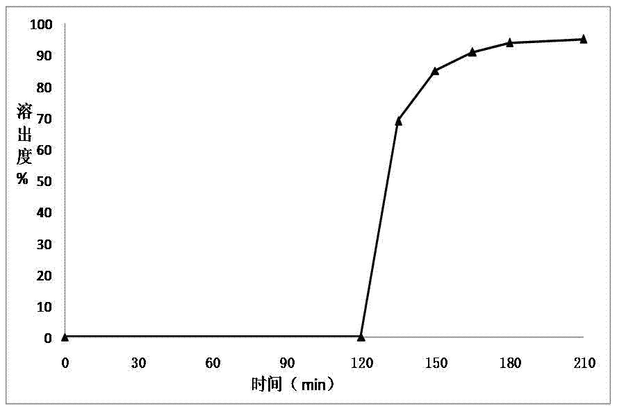 Delayed release preparation containing safe and reliable plasticizer and preparation method thereof