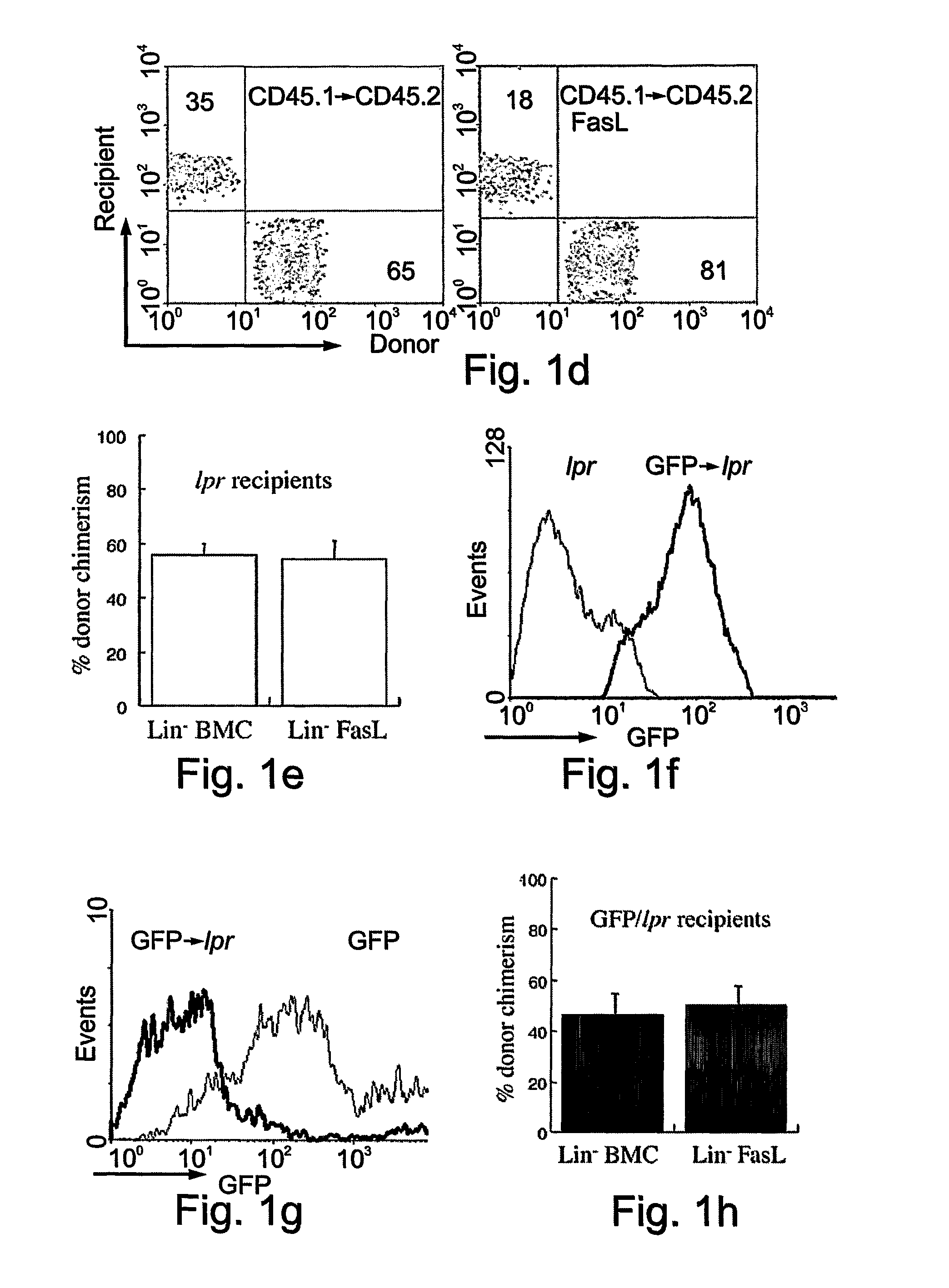 Methods of selecting stem cells and uses thereof