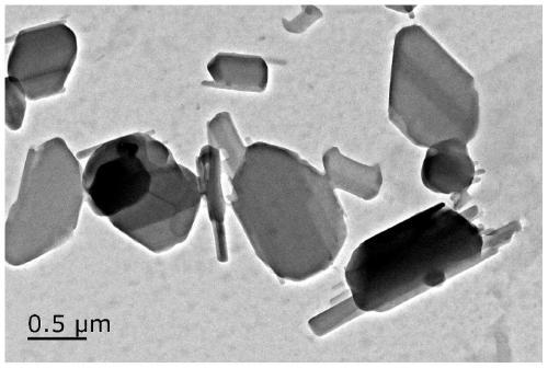 A kind of ceftaroning nano-suspension freeze-dried powder and preparation method thereof