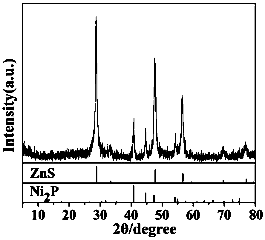 A kind of preparation method of core-shell structure zns/ni2p composite microsphere