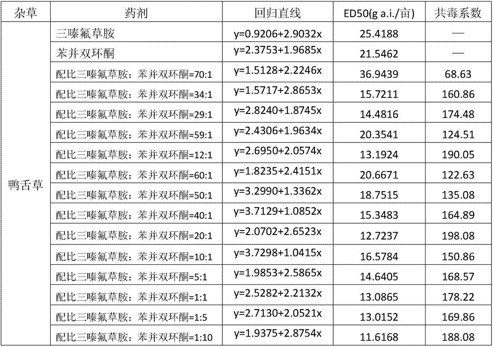 Weeding composition containing benzobicyclon and bentazone and application of weeding composition