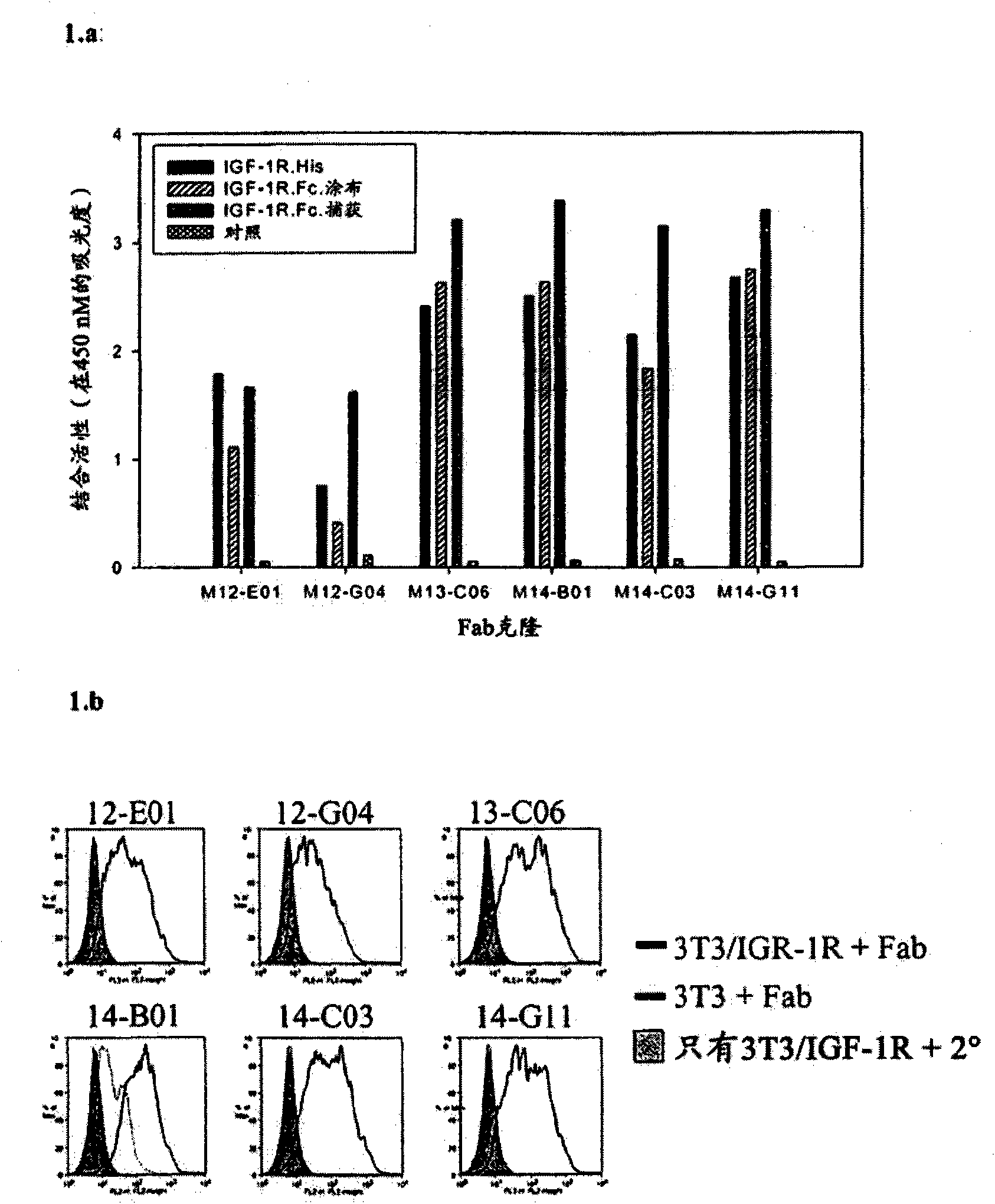 Anti-IGF-1R antibodies and uses thereof