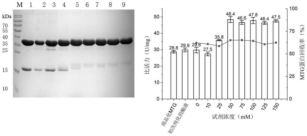 Recombinant production method of microbial transglutaminase