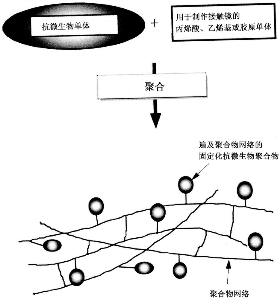 Antimicrobial contact lenses