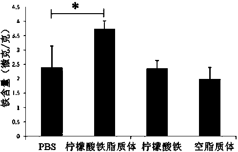 Method for preparing nanometer iron citrate liposome