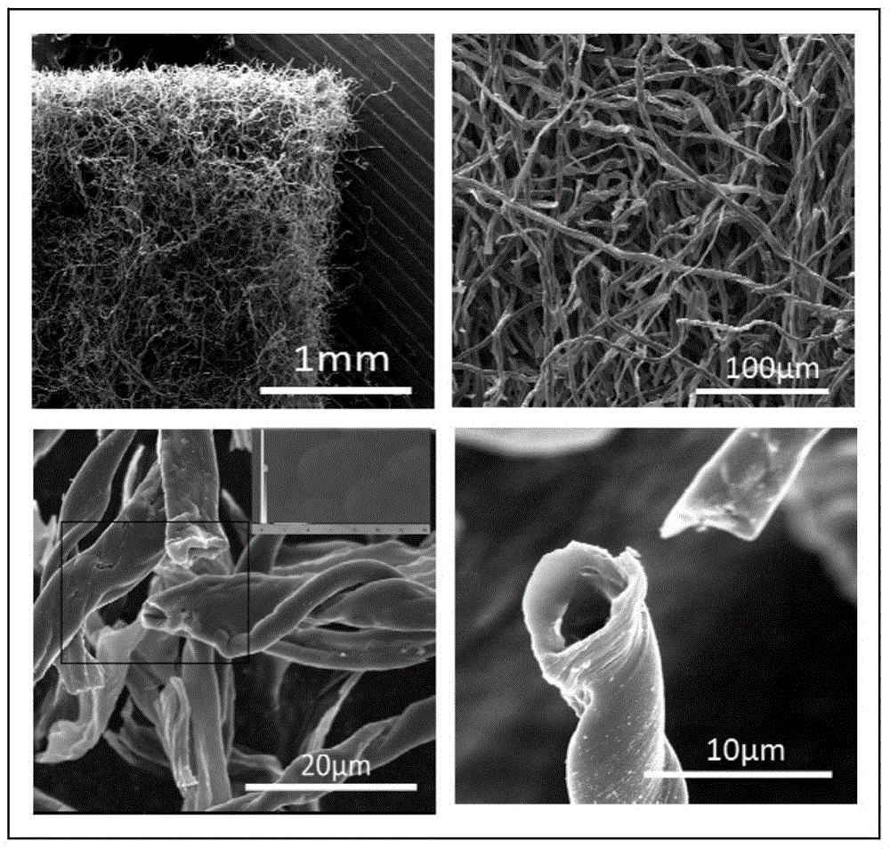 A preparation method of flexible and highly conductive three-dimensional interconnected hollow carbon fibers