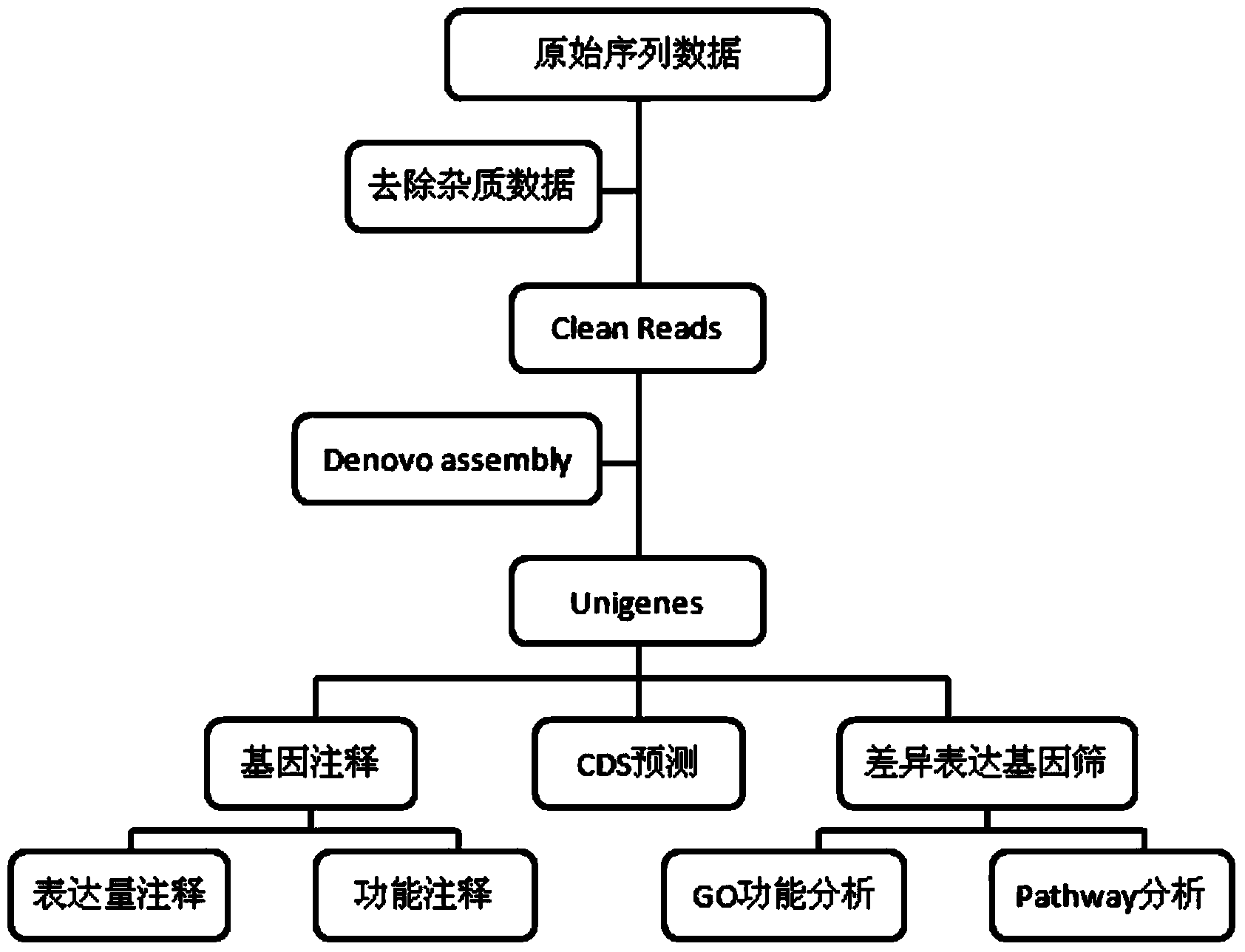 Method for developing mung bean simple sequence repeat (SSR) primer based on transcriptome sequencing