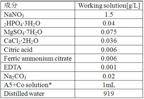 A strain of chlorella rich in oil and its cultivation application