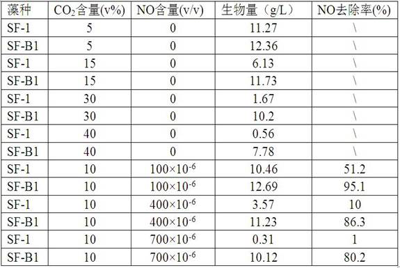 A strain of chlorella rich in oil and its cultivation application