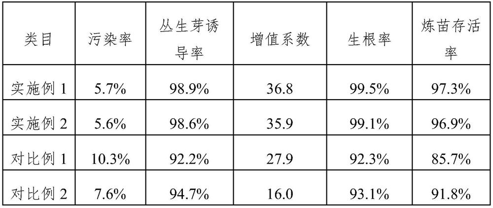 A kind of Tinospora tissue culture rapid propagation method