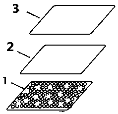 Scar-free regenerated medicinal dressing with tissue induction function and preparation method of scar-free regenerated medicinal dressing