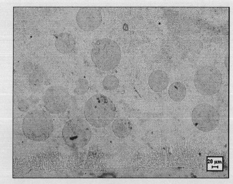 Laser cladding method of composite coating containing spherical tungsten carbide