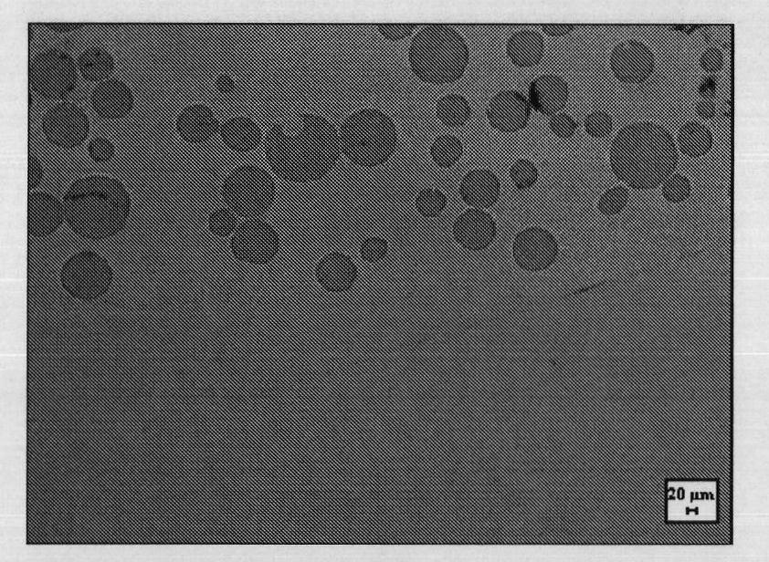 Laser cladding method of composite coating containing spherical tungsten carbide