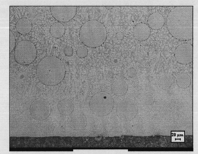 Laser cladding method of composite coating containing spherical tungsten carbide