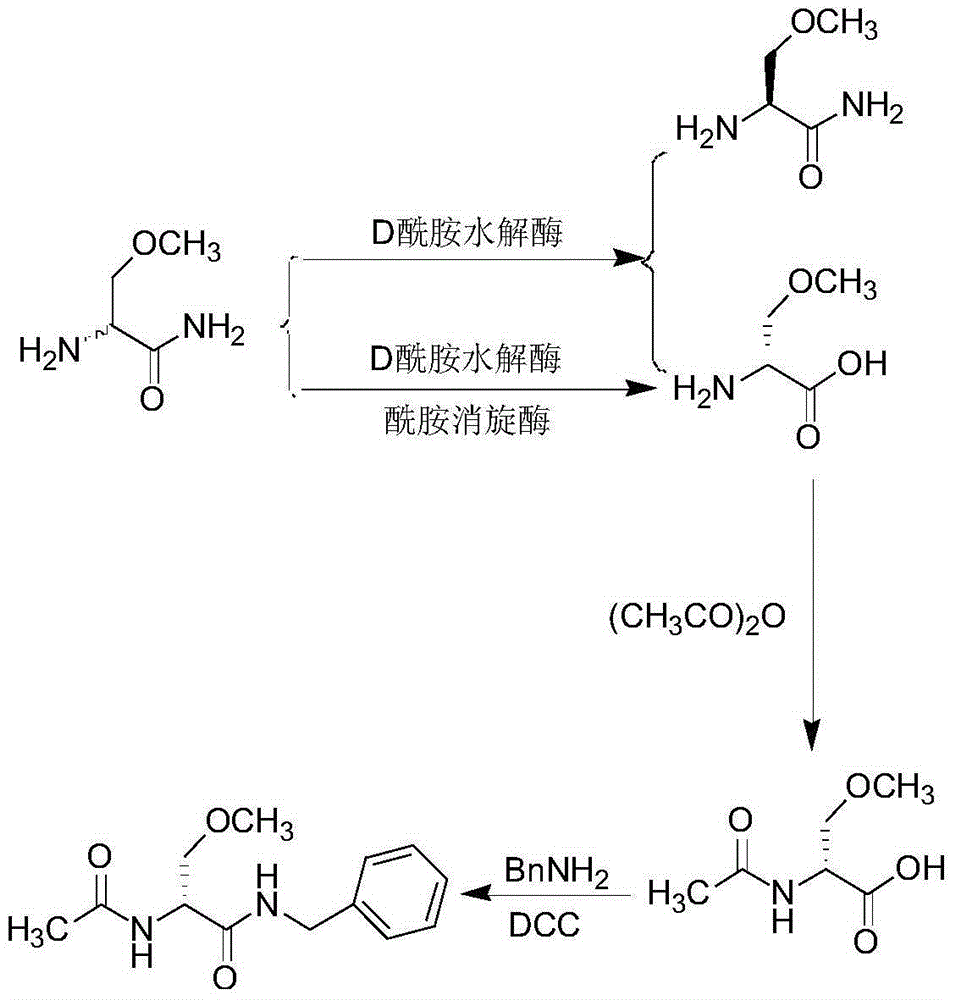 A kind of preparation method of lacosamide chemical enzymatic method