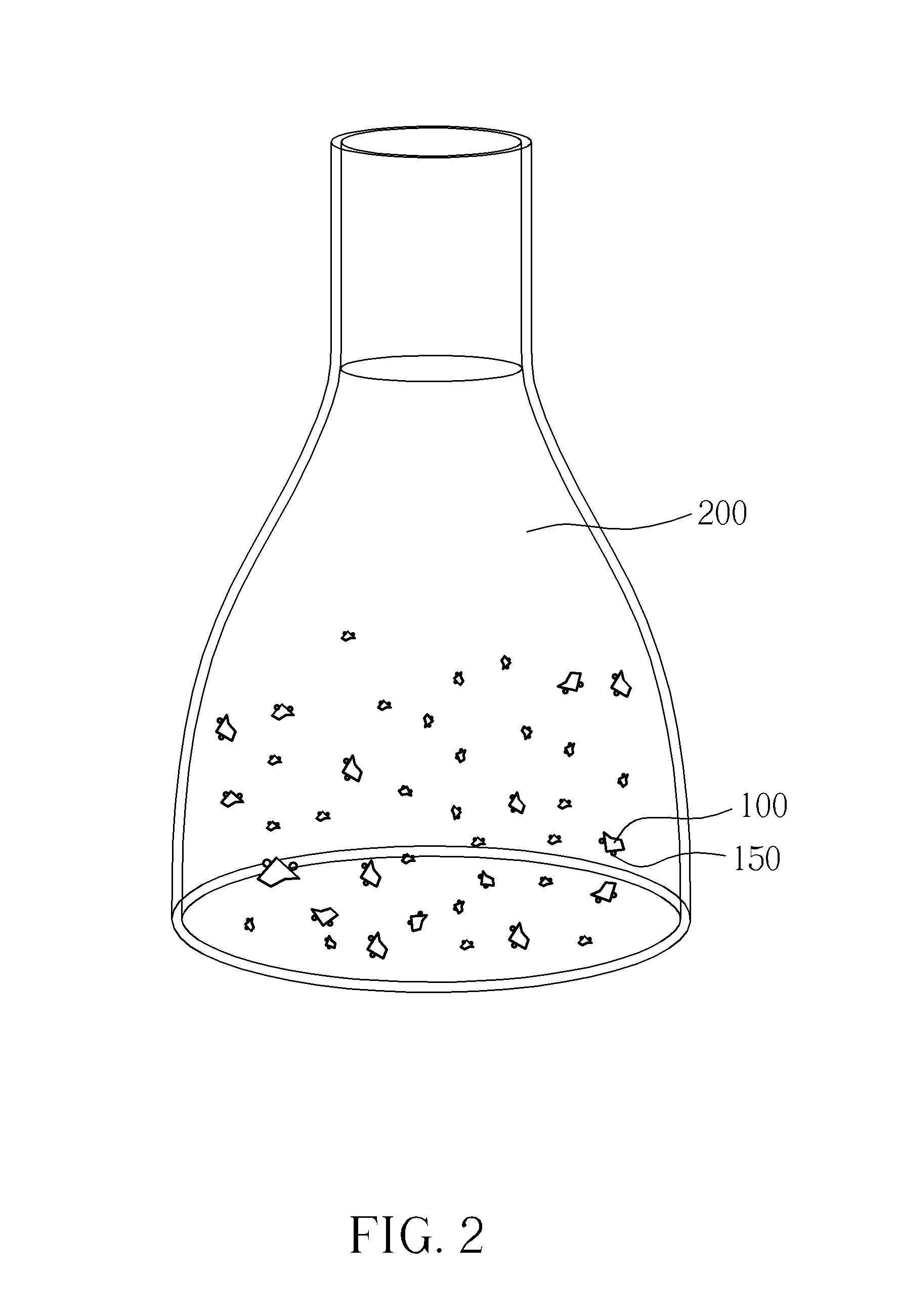 Tissue culturing method, culturing method of ferns and explant obtained therefrom