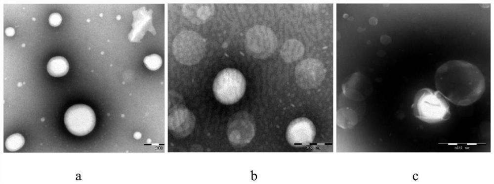 Cationic complex liposome influenza vaccine as well as preparation method and application method thereof