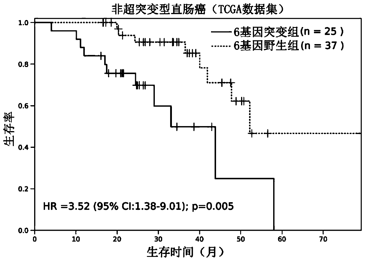 Group of genes for molecular typing of non-hyper-mutant rectal cancer and application thereof